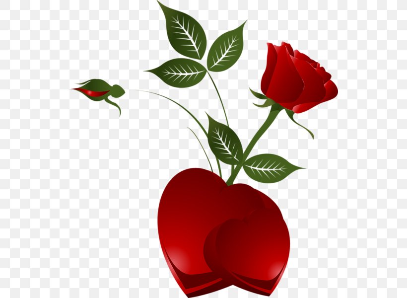 Heart Valentine's Day Rose Clip Art, PNG, 542x600px, Heart, Flora, Flower, Flowering Plant, Garden Roses Download Free