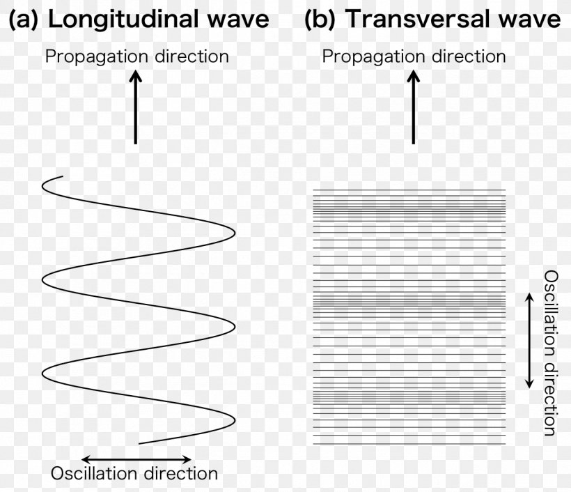 Longitudinal Wave Transverse Wave Wave Propagation Angle, PNG, 1245x1072px, Longitudinal Wave, Area, Black And White, Brand, Definition Download Free