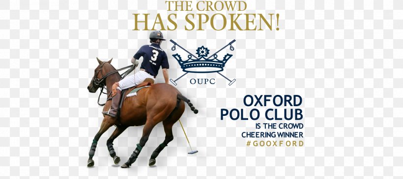 University Of Oxford Oxford University Polo Club Horse, PNG, 1601x715px, University Of Oxford, Brand, Bridle, Calendar, Equestrian Download Free