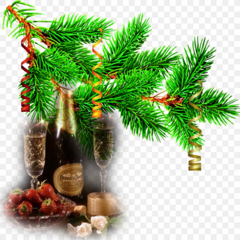 Fir Christmas Tree Pine, PNG, 1024x1024px, Fir, Branch, Christmas, Christmas Decoration, Christmas Ornament Download Free