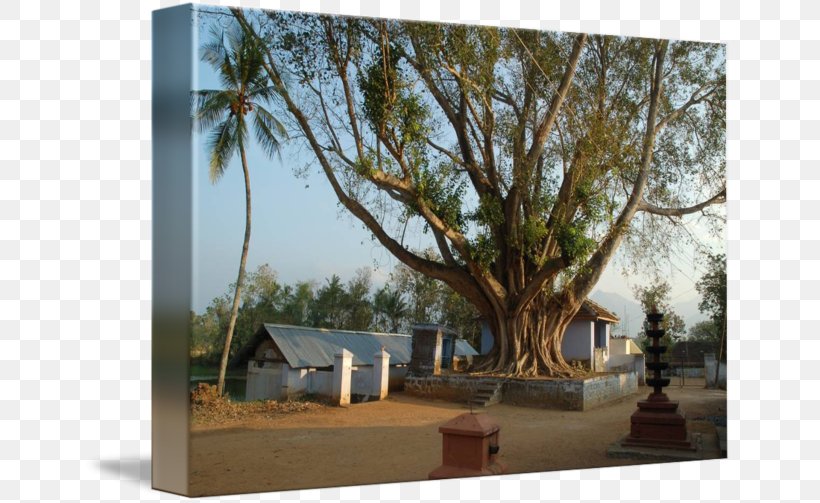 Thiruvananthapuram Alappuzha Tree Kathakali Wood, PNG, 650x503px, Thiruvananthapuram, Alappuzha, Architecture, Cloud, Hindu Temple Download Free