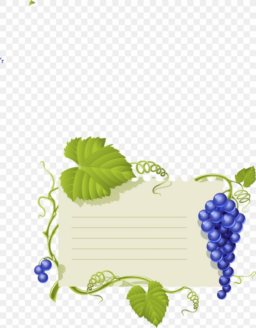 Common Grape Vine Wine Grape Leaves, PNG, 886x1135px, Watercolor, Cartoon, Flower, Frame, Heart Download Free