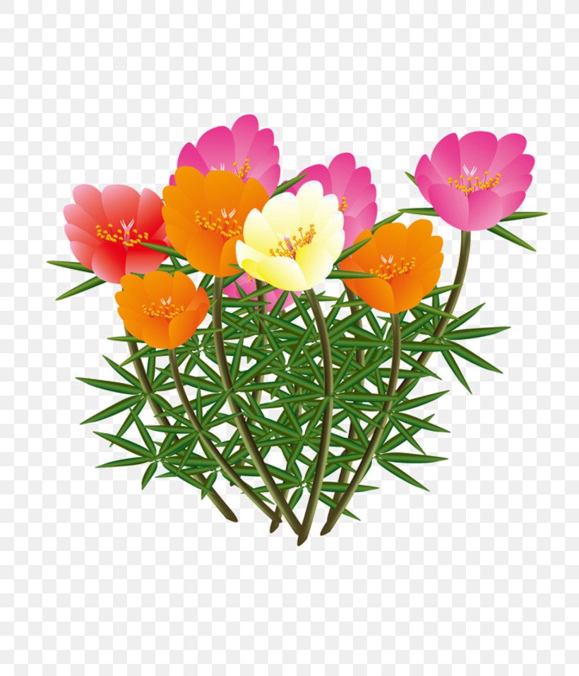 Cut Flowers Image Petal Rose, PNG, 800x957px, Cut Flowers, Annual Plant, Flower, Flowering Plant, Flowerpot Download Free