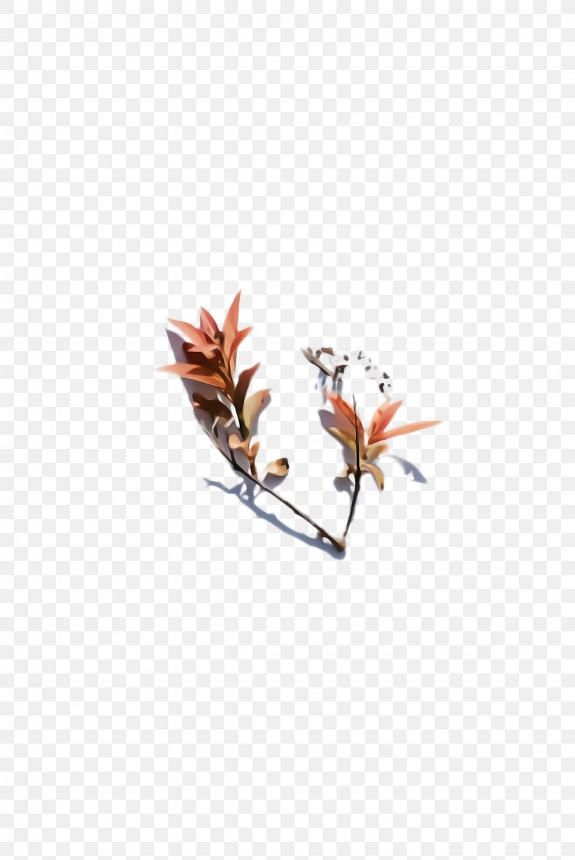 Flower Plant Leaf Branch Twig, PNG, 1636x2448px, Flower, Branch, Leaf, Magnolia, Magnolia Family Download Free