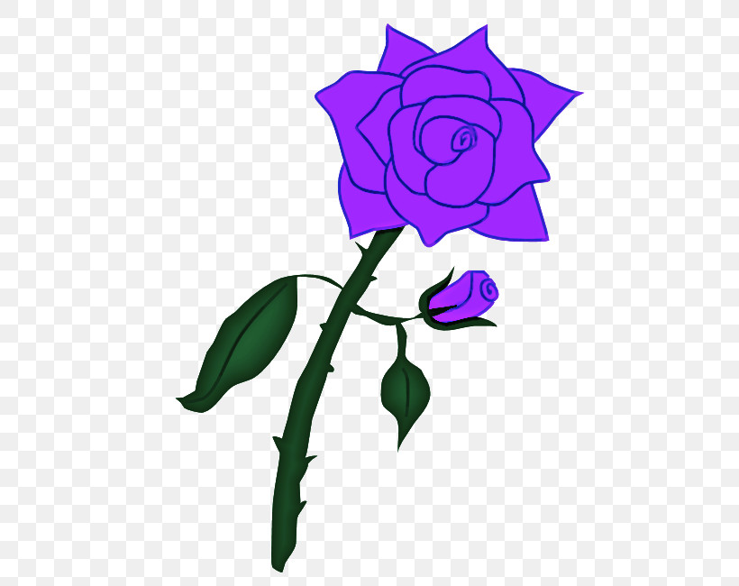 Garden Roses, PNG, 650x650px, Rose, Blue Rose, Cut Flowers, Floribunda, Flower Download Free