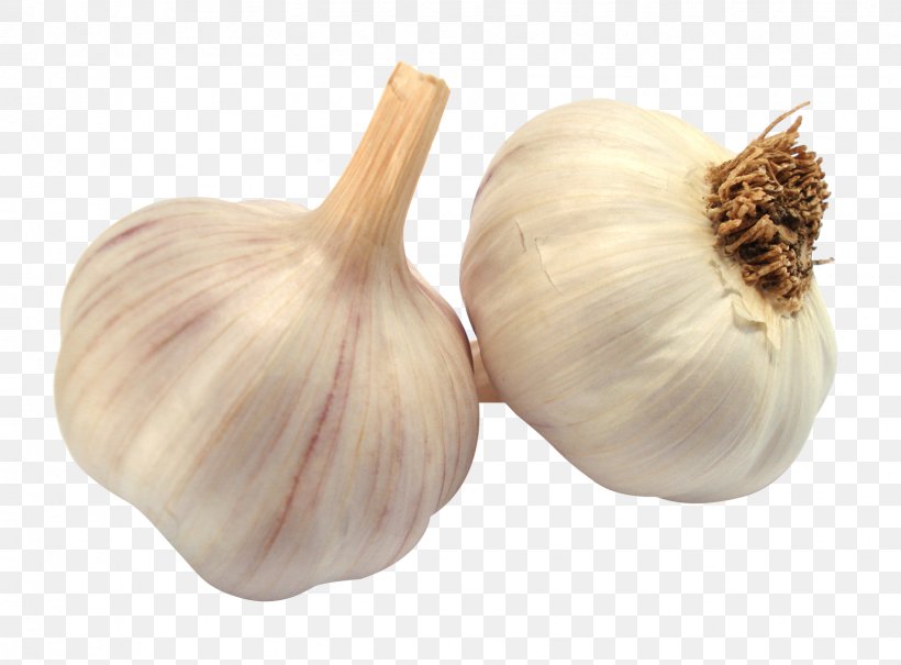 Garlic Bread Garlic Soup Shallot, PNG, 1624x1199px, Garlic Bread, Elephant Garlic, Food, Garlic, Garlic Soup Download Free