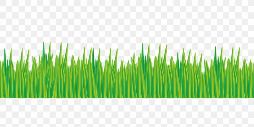 Clip Art Image Lawn Vector Graphics, PNG, 960x480px, Lawn, Chrysopogon Zizanioides, Commodity, Drawing, Grass Download Free