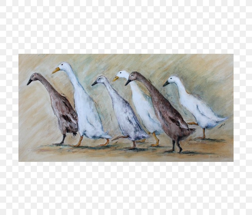 Duck Goose Painting Pope Commission, PNG, 700x700px, Duck, Beak, Bird, Commission, Ducks Geese And Swans Download Free