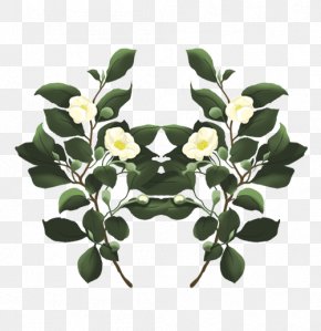 Plant Illustration - Flowerpot Flowering Plant Leaf PNG