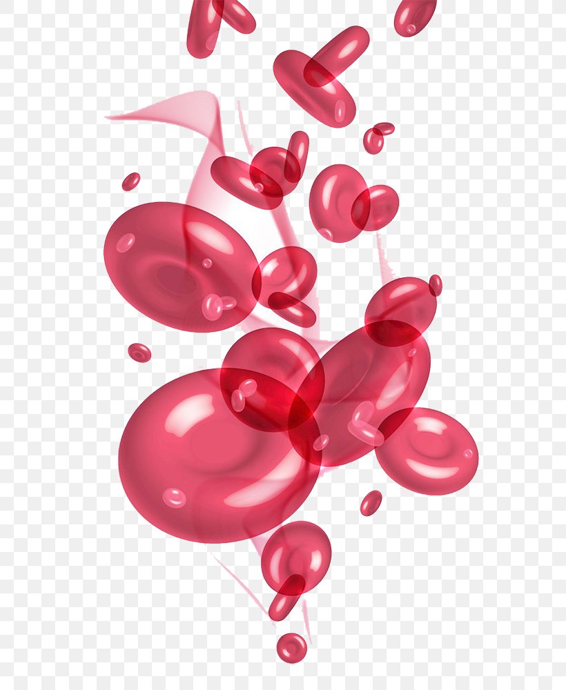 Red Blood Cell Blood Plasma Platelet, PNG, 646x1000px, Red Blood Cell, Artery, Balloon, Blood, Blood Cell Download Free