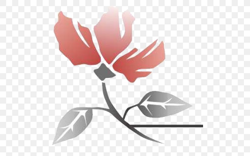Rose Family Petal Leaf Clip Art, PNG, 512x512px, Rose Family, Flora, Flower, Flowering Plant, Leaf Download Free