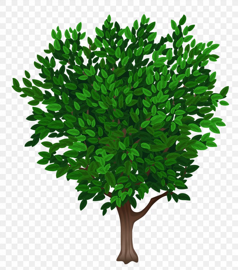 Tree Clip Art, PNG, 4741x5384px, Tree, Apng, Branch, Com, Dogwood Download Free