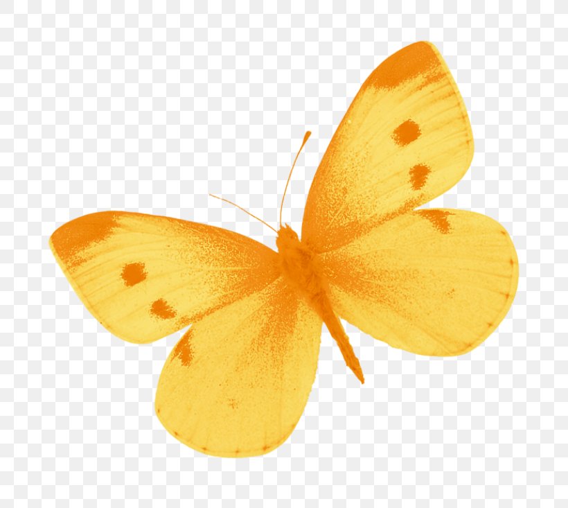 Butterfly Yellow Clip Art, PNG, 800x733px, Butterfly, Arthropod, Brush Footed Butterfly, Butterflies And Moths, Eurema Brigitta Download Free