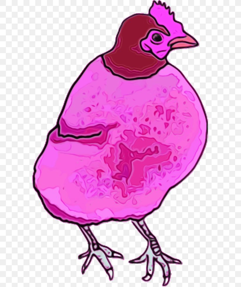 Bird Beak Pink Magenta Drawing, PNG, 600x974px, Watercolor, Beak, Bird, Drawing, Magenta Download Free