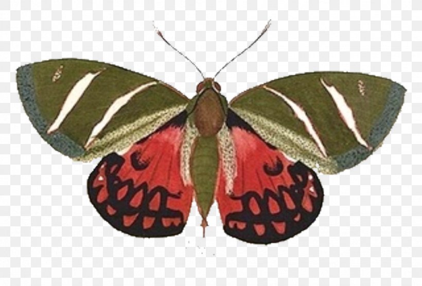 Butterfly Moth Folk Art Clip Art, PNG, 1023x694px, Butterfly, Antique, Apa Style, Art, Arthropod Download Free