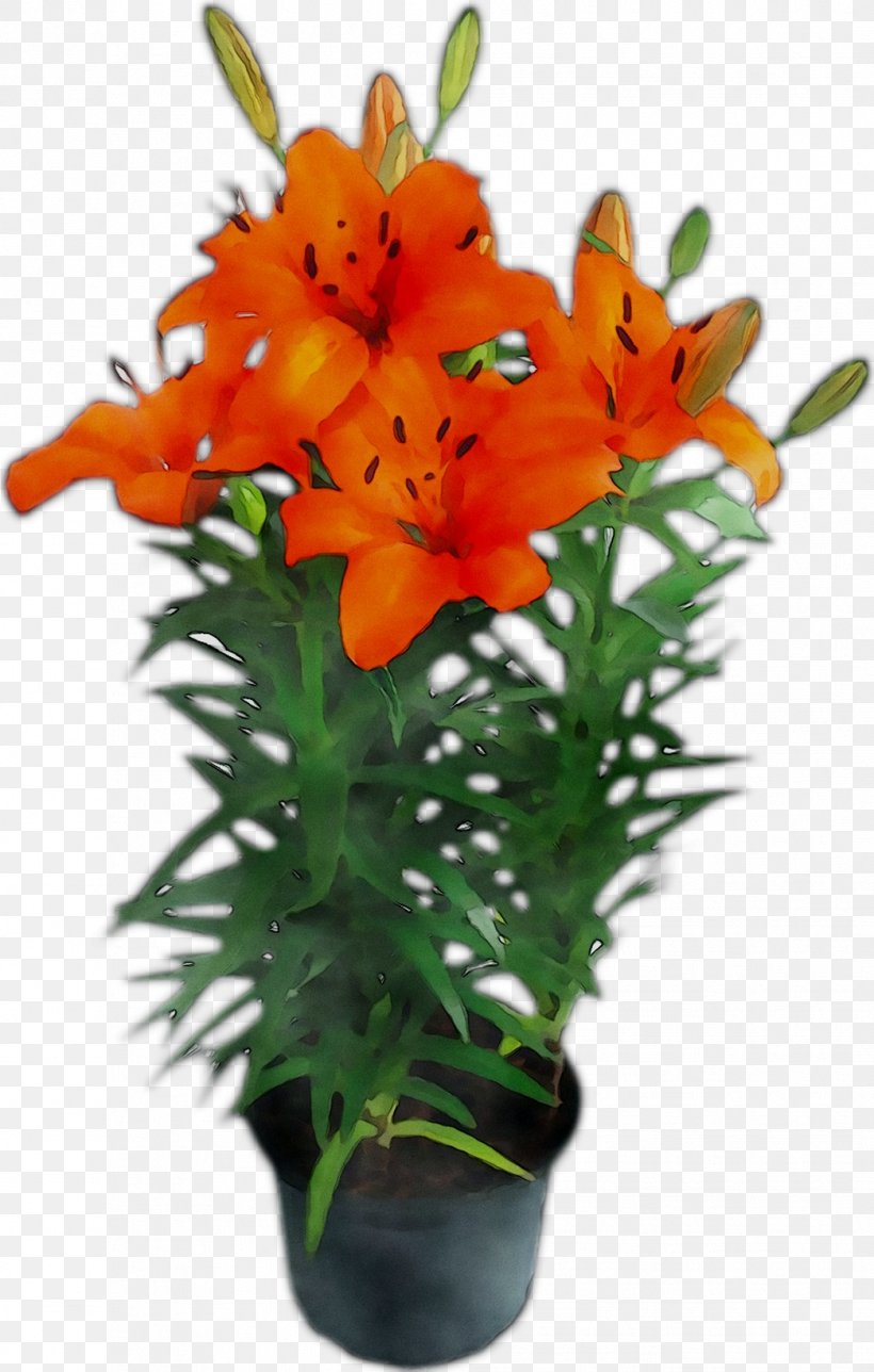 Cut Flowers Floral Design Flower Bouquet Plant Stem, PNG, 1044x1641px, Flower, Cut Flowers, Dendrobium, Floral Design, Flower Bouquet Download Free