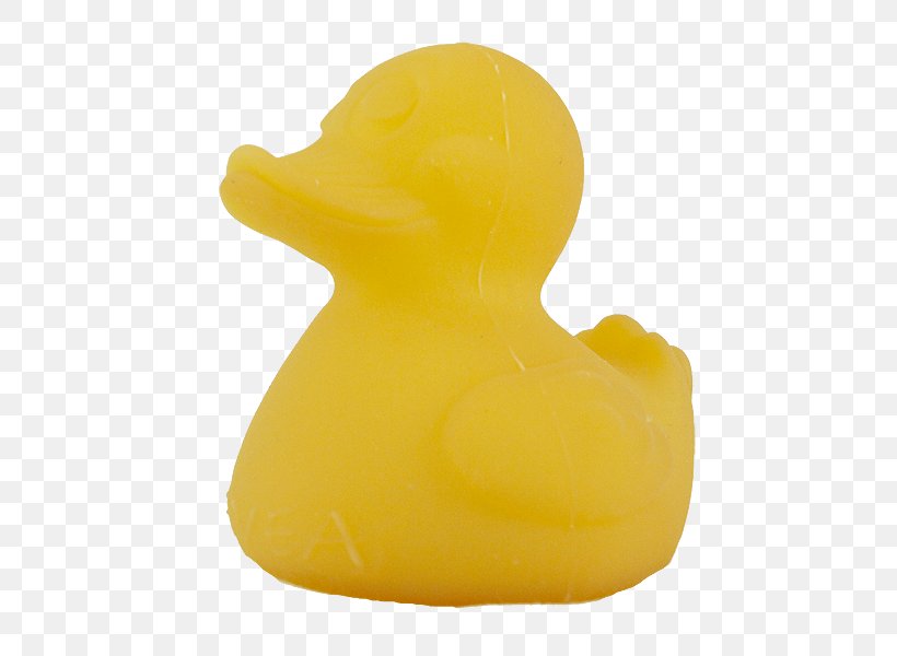 Duck Product Design Beak, PNG, 563x600px, Duck, Beak, Bird, Ducks Geese And Swans, Water Bird Download Free