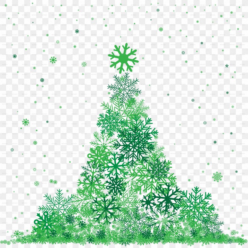 Fir Spruce Pine Tree Conifers, PNG, 4961x4961px, Fir, Branch, Christmas, Christmas Decoration, Christmas Ornament Download Free