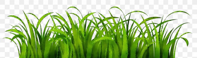 Green Leaf Logo, PNG, 1024x307px, Lawn, Chives, Flower, Grass, Grass Family Download Free
