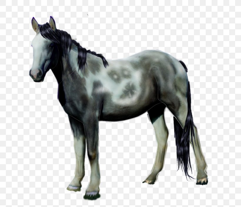 Horse Drawing Image Design, PNG, 800x706px, Horse, Animal, Bridle, Canter And Gallop, Cartoon Download Free