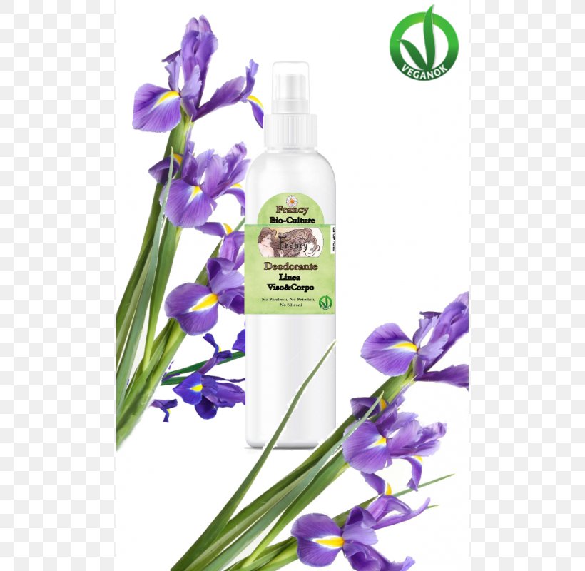 Lavender Violet Cut Flowers Herb, PNG, 800x800px, Lavender, Cut Flowers, Flower, Flowering Plant, Herb Download Free
