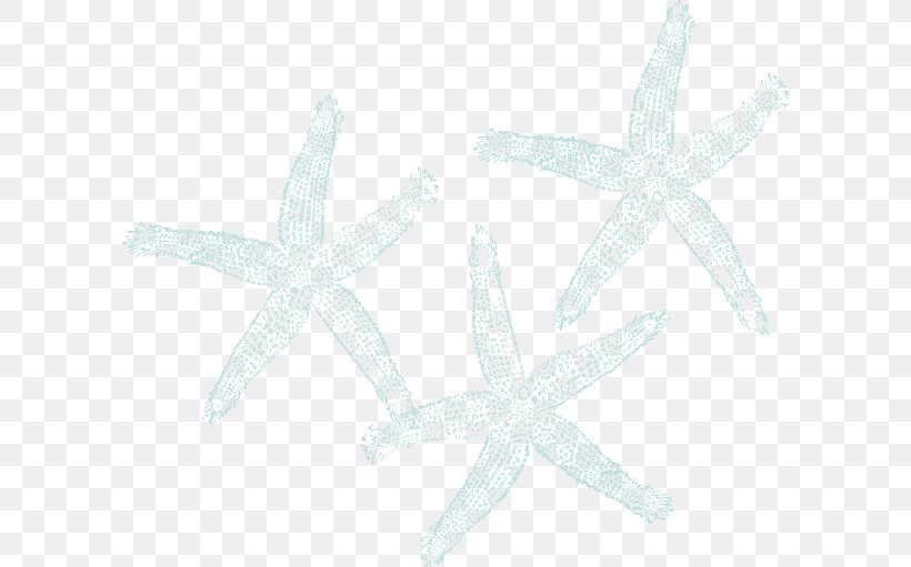 Marine Invertebrates Starfish Echinoderm, PNG, 600x511px, Invertebrate, Animal, Echinoderm, Fish, Marine Invertebrates Download Free