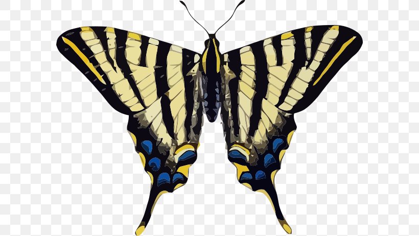 Swallowtail Butterfly Old World Swallowtail Scarce Swallowtail Vector Graphics Butterflies & Insects, PNG, 600x462px, Swallowtail Butterfly, Arthropod, Black Swallowtail, Brush Footed Butterfly, Butterflies Download Free