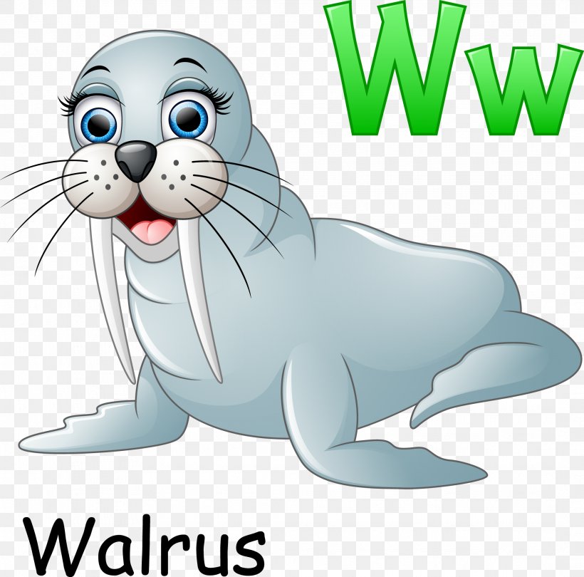 Walrus Cartoon Illustration, PNG, 2134x2110px, Walrus, Animation, Carnivoran, Cartoon, Cat Download Free