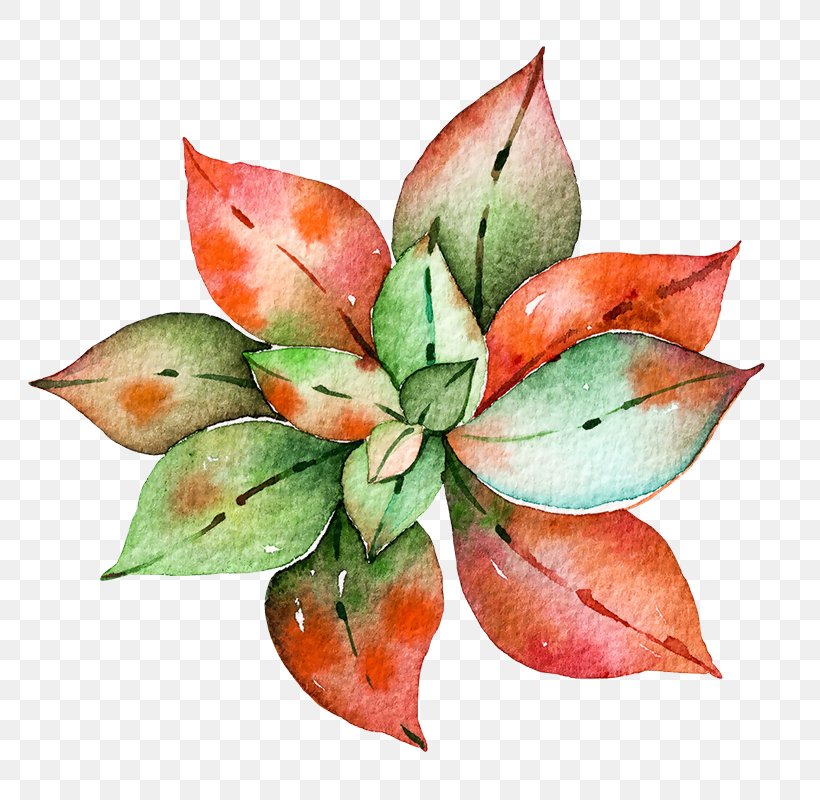 Watercolor Painting Succulent Plant Agave Parviflora, PNG, 800x800px, Watercolor Painting, Agave, Agavoideae, Art, Century Plant Download Free
