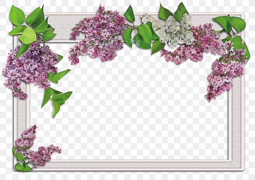 Background Flower Frame, PNG, 3510x2480px, Picture Frames, Birthday, Blossom, Branch, Cut Flowers Download Free