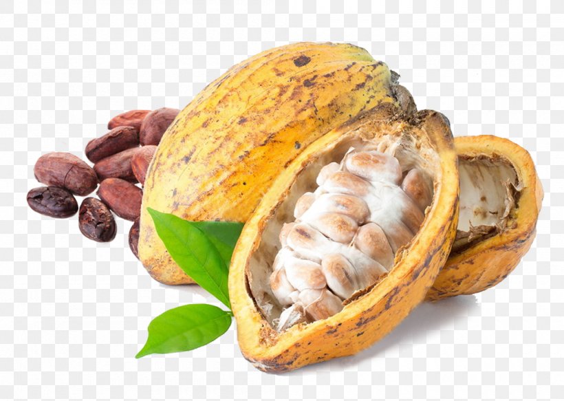 Cocoa Bean Lotion Criollo Cocoa Butter, PNG, 1000x711px, Cocoa Bean, Chocolate, Cocoa Butter, Cocoa Solids, Commodity Download Free