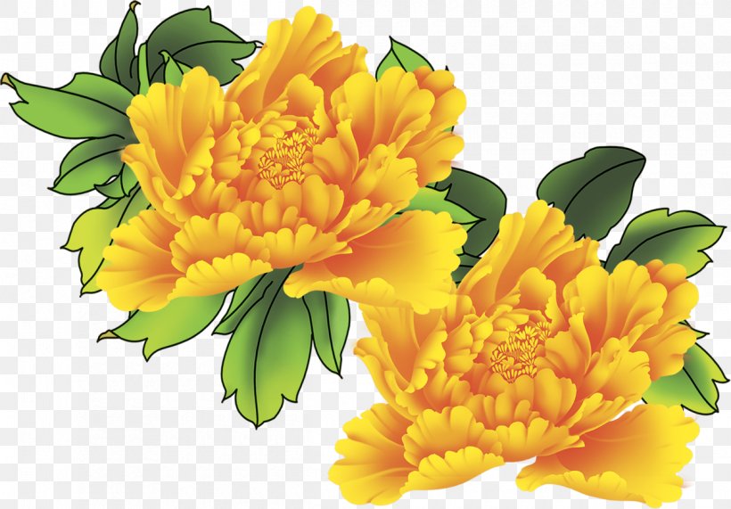 Cut Flowers Floral Design Floristry Pot Marigold, PNG, 1200x836px, Flower, Annual Plant, Calendula, Chrysanthemum, Chrysanths Download Free