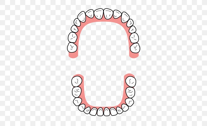 Dentition Tooth Dental Braces Dentist Bridge, PNG, 500x500px, Dentition, Area, Auto Part, Body Jewelry, Bridge Download Free