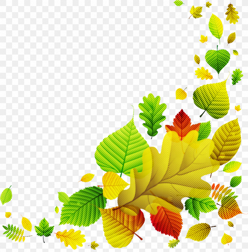 Leaf Yellow Plant Flower Tree, PNG, 1184x1200px, Leaf, Branch, Flower, Plant, Tree Download Free