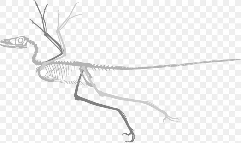 Reptile Line Art Drawing /m/02csf, PNG, 1159x690px, Reptile, Artwork, Black And White, Drawing, Hardware Accessory Download Free