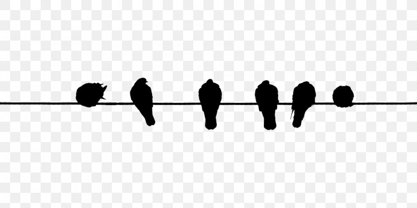 Bird Wire Electrical Cable, PNG, 1280x640px, Bird, Black, Black And White, Diagram, Electrical Cable Download Free