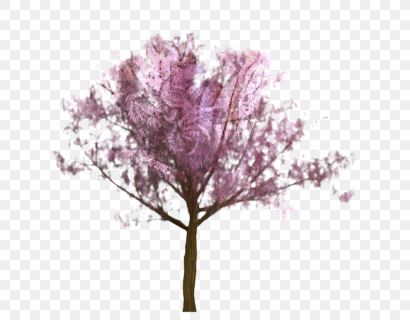 Cherry Blossom Tree, PNG, 640x640px, Stau150 Minvuncnr Ad, Blossom, Branch, Cherries, Cherry Blossom Download Free