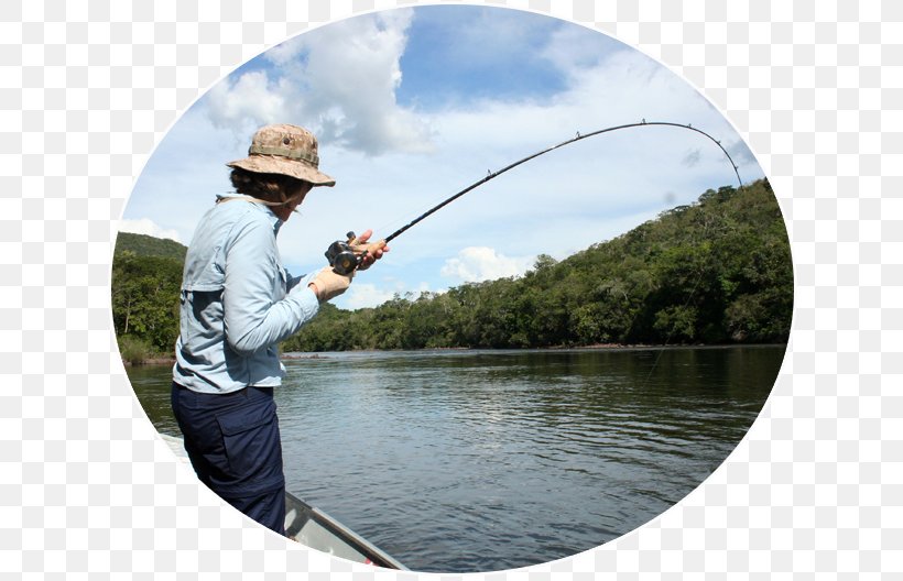 Fly Fishing Fishing Rods Angling Casting Fisherman, PNG, 630x528px, Fly Fishing, Angling, Casting, Casting Fishing, Fisherman Download Free