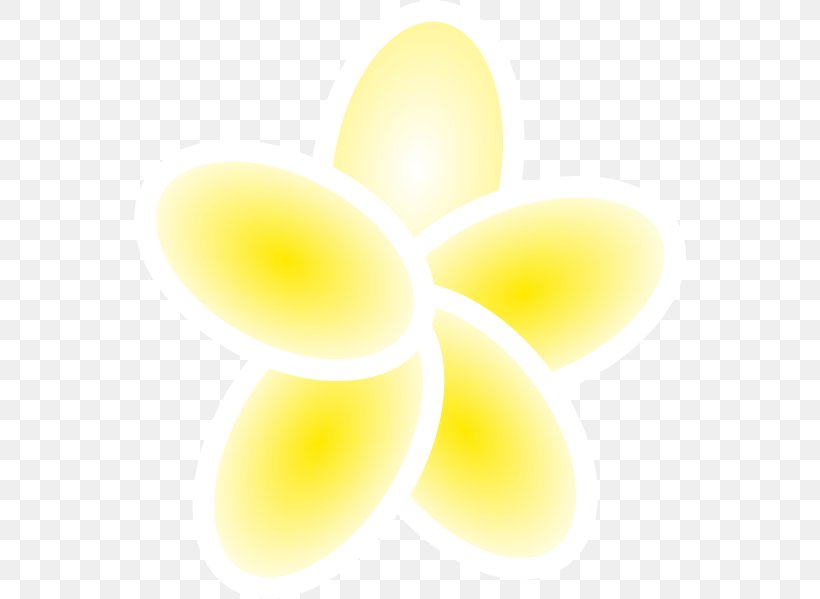 Hawaii Frangipani Lei Clip Art, PNG, 552x599px, Hawaii, Close Up, Drawing, Flower, Frangipani Download Free