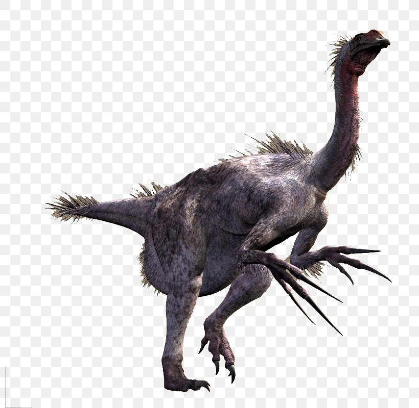 Therizinosaurus Tyrannosaurus Alxasaurus Velociraptor Tarbosaurus, PNG, 800x800px, Therizinosaurus, Alxasaurus, Ankylosaurus, Beak, Claw Download Free