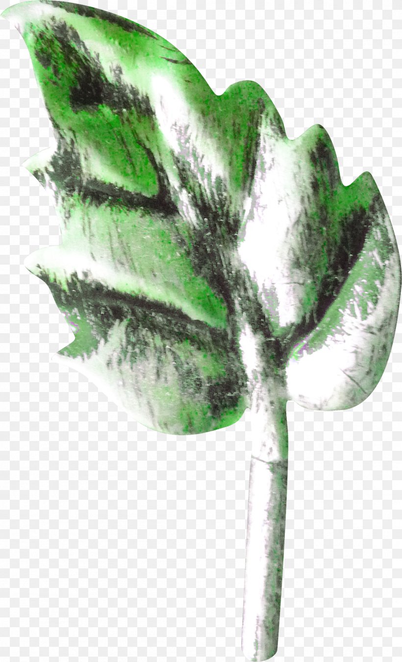 Maple Leaf Plant Stem Google Images, PNG, 1153x1900px, Leaf, Copyright, Decorative Arts, Google Images, Green Download Free