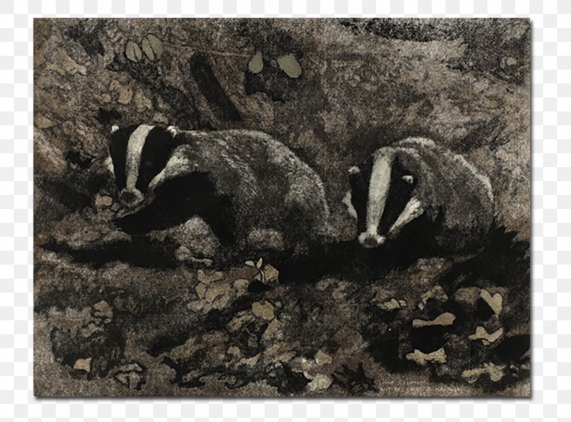 Badger Mustelids Fauna Wildlife, PNG, 1600x1183px, Badger, Carnivoran, Fauna, Mammal, Mustelidae Download Free