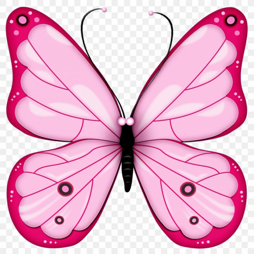 Butterfly Clip Art, PNG, 894x893px, Butterfly, Arthropod, Brush Footed Butterfly, Clip Art, Color Download Free