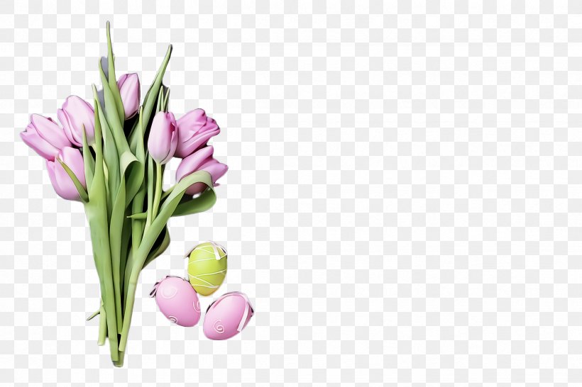 Flower Plant Cut Flowers Tulip Petal, PNG, 2448x1632px, Flower, Bud, Chives, Cut Flowers, Lily Family Download Free