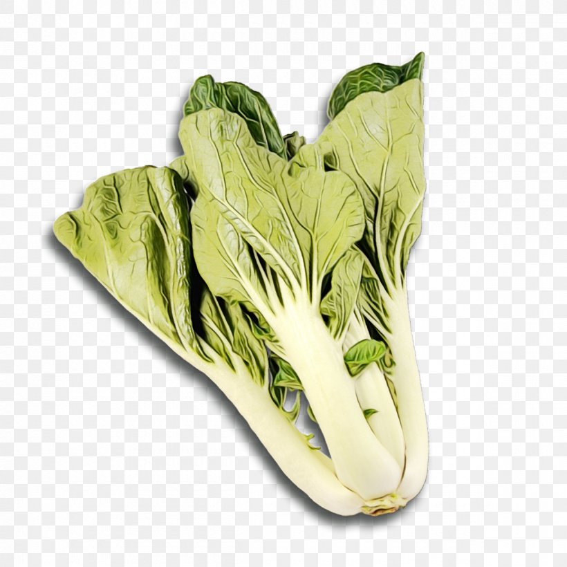 Spring Flower, PNG, 1200x1200px, Romaine Lettuce, Arugula, Bargli Sabzavotlar, Cabbage, Celtuce Download Free