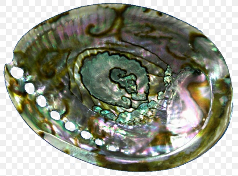 Abalone Jewellery Oyster Seashell Gemstone, PNG, 1024x755px, Abalone, Engraving, Gemstone, Glass, Jewellery Download Free