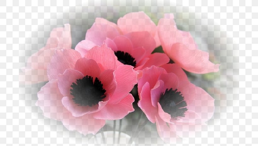 Anemone Flower Bouquet Artificial Flower Cut Flowers, PNG, 700x467px, Anemone, Artificial Flower, Color, Crepe Paper, Cut Flowers Download Free