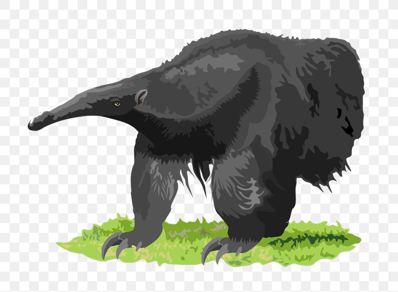 Anteater Southern Tamandua Aardvark Clip Art, PNG, 800x602px, Anteater, Aardvark, Animal, Bear, Blog Download Free