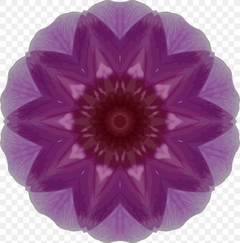 Orchids Kaleidoscope Clip Art, PNG, 2374x2400px, Orchids, Flower, Flowering Plant, Kaleidoscope, Lavender Download Free
