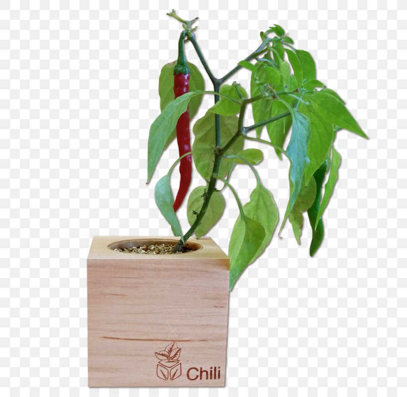 Chili Pepper Bell Pepper Peperoncino Carolina Reaper Food, PNG, 800x800px, Chili Pepper, Amazoncom, Bell Pepper, Carolina Reaper, Flowerpot Download Free